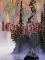 tiet 13: dieu kien phat trien phat sinh cua sau benh pdf