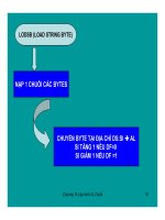 Cấu trúc máy tính và lập trình Assembly : :LẬP TRÌNH XỬ LÝ MẢNG & CHUỔI part 4 ppsx