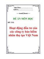 Đề án môn học: Hoạt động đầu tư của các công ty bảo hiểm nhân thọ tạo Việt Nam pps