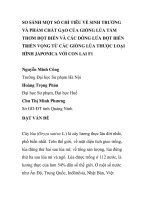 BÁO CÁO KHOA HỌC: 