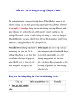 Giáo án cho trẻ khiếm thính: Phần hai: Tóm tắt thông tin và lập kế hoạch cá nhân doc