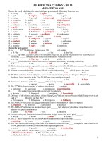 ĐỀ KIỂM TRA CUỐI KỲ - ĐỀ 13 MÔN: TIẾNG ANH doc