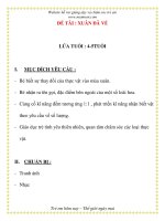 Giáo án chương trình mới: Lớp Chồi ĐỀ TÀI : XUÂN ĐÃ VỀ pot