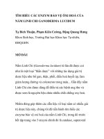 BÁO CÁO KHOA HỌC: 