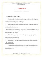 Giáo án chương trình mới: Lớp lá Gia đình nhà gà pot