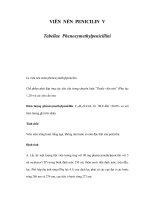 VIÊN NÉN PENICILIN V pps