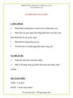 Giáo án chương trình mới: Lớp Chồi SỰ BIẾN HÓA CỦA NƯỚC potx