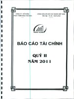 CÔNG TY cổ PHẦN PHÁT TRIỂN NHÀ THỦ đức báo cáo tài chính quý 2 năm 2011