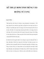 KỸ THUẬT BƠM TINH TRÙNG VÀO BUỒNG TỬ CUNG pdf