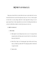 BỆNH VAN HAI LÁ pdf