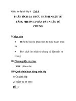 Giáo án đại số lớp 8 - Tiết 9 PHÂN TÍCH ĐA THỨC THÀNH NHÂN TỬ BẰNG PHƯƠNG PHÁP ĐẶT NHÂN TỬ CHUNG doc