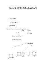 KHÁNG SINH BÊTA-LACTAM pptx