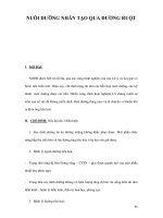 NUÔI DƯỠNG NHÂN TẠO QUA ĐƯỜNG RUỘT potx