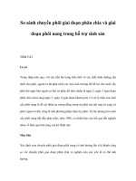 So sánh chuyển phôi giai đoạn phân chia và giai đoạn phôi nang trong hỗ trợ sinh sản potx