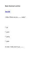 Basic Grammar''''s archiveTest 036 pdf