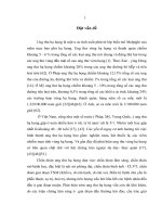 Nghiên cứu đặc điểm lâm sàng, chụp cắt lớp vi tính   đối chiếu với phẫu thuật của ung thư hạ họng