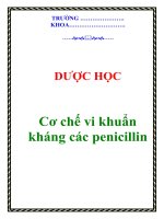 Cơ chế vi khuẩn kháng các penicillin pdf