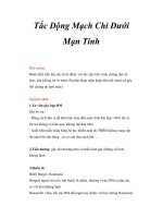 Tắc Dộng Mạch Chi Dưới Mạn Tính potx