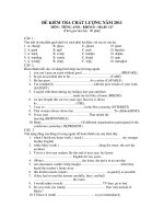 ĐỀ KIỂM TRA CHẤT LƯỢNG NĂM 2011 MÔN : TIẾNG ANH KHỐI D - Mã đề: 217 ppsx