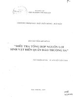 Điều tra tổng hợp nguồn lợi sinh vật biển quần đảo Trường Sa