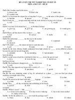 ĐỀ LUYỆN THI TỐT NGHIỆP 2011 CÓ ĐÁP ÁN MÔN: ANH VĂN – ĐỀ 20 pps