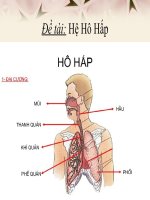 Bài giảng Hệ hô hấp hot