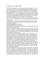 Đại thắng mùa xuân - Chương 5: Cài thế ppt