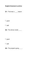 English Grammar''''s archive pps