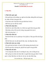 Giáo án giảng dạy lớp Chồi: Chủ đề: Gia đình thân yêu của tôi pot