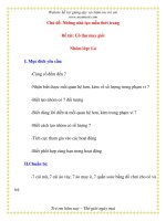 Giáo án chương trình mới: Lớp lá Chủ đề: Những nhà tạo mẫu thời trang pdf