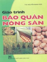 Giáo trình bảo quản nông sản - Chương 1 Mở đầu doc