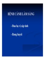 Chẩn đoán bằng hình ảnh : Siêu âm bụng part 7 docx
