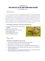 Sinh thái học nông nghiệp : Sinh thái học và sự phát triển Nông nghiệp part 1 pptx