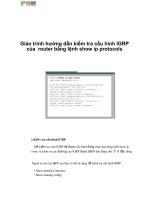 Giáo trình hướng dẫn kiểm tra cấu hình IGRP của router bằng lệnh show ip protocols phần 1 pot