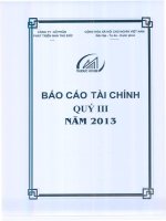 công ty phát triển nhà thủ đức báo cáo tài chính quý 3 năm 2013