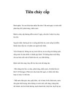 Tiêu chảy cấp potx