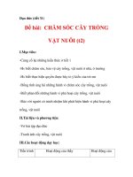 Đạo đức: Đề bài: CHĂM SÓC CÂY TRỒNG VẬT NUÔI (Phần 2) docx