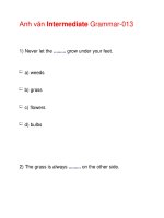 Anh văn Intermediate Grammar-013 docx