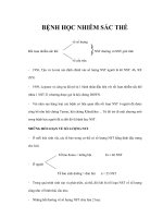 BỆNH HỌC NHIỄM SẮC THỂ ppt
