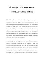 KỸ THUẬT TIÊM TINH TRÙNG VÀO BÀO TƯƠNG TRỨNG pdf