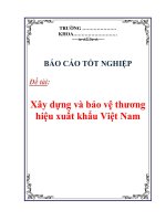 Báo cáo tốt nghiệp: Xây dựng và bảo vệ thương hiệu xuất khẩu Việt Nam potx