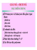 CÁC QUÁ TRÌNH SINH HỌC Ở MỨC PHÂN TỬ part 8 doc