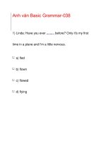 Anh văn Basic Grammar-038 ppsx
