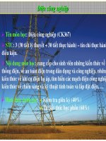 Điện công nghiệp - Hệ thống điện pps