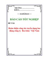Báo cáo tốt nghiệp: Hoàn thiện công tác tuyển dụng lao động công ty BeeAhm Việt Nam pptx