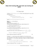 Giáo trình hướng dẫn cách tính các trường số phức phần 1 ppt