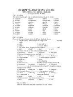 ĐỀ KIỂM TRA CHẤT LƯỢNG NĂM 2011 MÔN : TIẾNG ANH KHỐI D - Mã đề: 226 pps