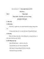 Giáo án địa lý 11 - Liên minh châu âu (EU) (tiếp theo) Tiết 3 Thực hành Thực hành – tìm hiểu vai trò eu trong nền kinh tế thế giới doc