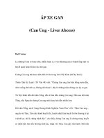 ÁP XE GAN (Can Ung - Liver Abcess) doc