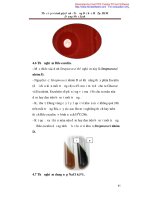 Giáo trình thực tập vi sinh gây bệnh part 6 pps